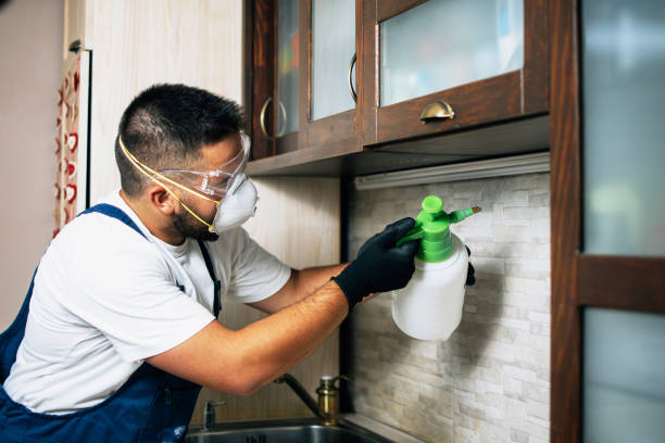Professional Pest Control in Northlakes, NC