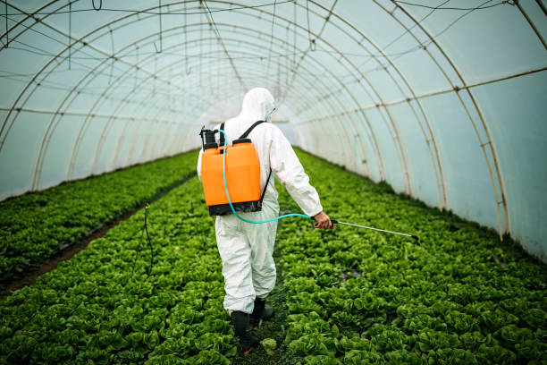 Pest Control Cost in Northlakes, NC