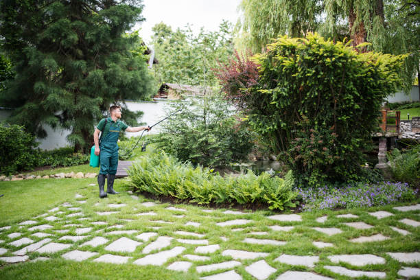 Best Pest Control Cost  in Northlakes, NC