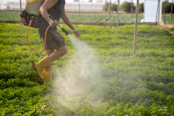 Best Pest Control Near Me  in Northlakes, NC