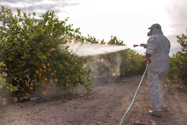 Northlakes, NC Pest Control Company