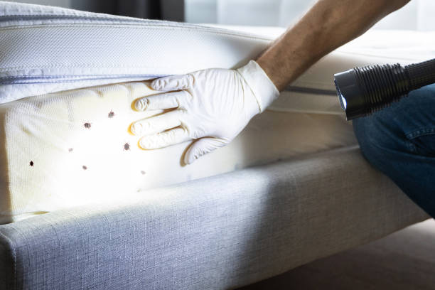 Best Exterminator Services  in Northlakes, NC