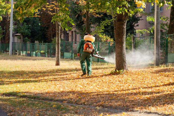 Best Affordable Pest Control Services  in Northlakes, NC