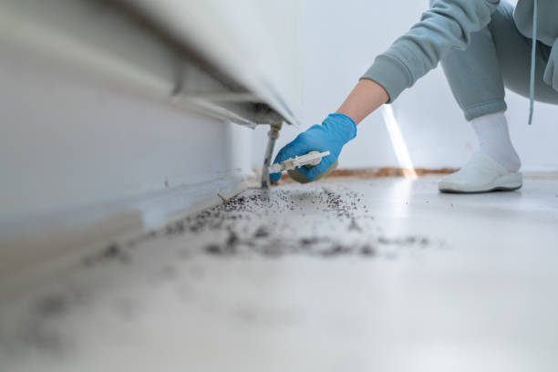 Best Flea Control Services  in Northlakes, NC